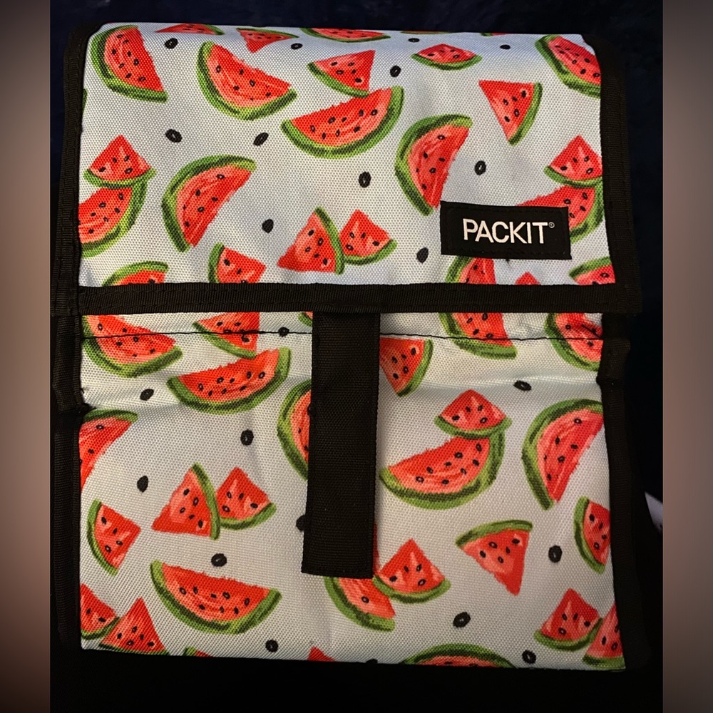 Packit insulated lunch kit - watermelon design
